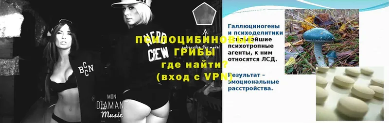 darknet как зайти  Заозёрск  Галлюциногенные грибы Psilocybine cubensis 